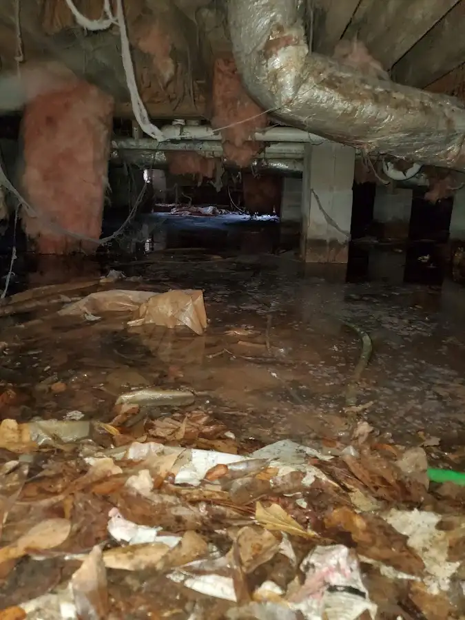 Crawl space flood assessment for Leak Detection & Repair in Hopewell