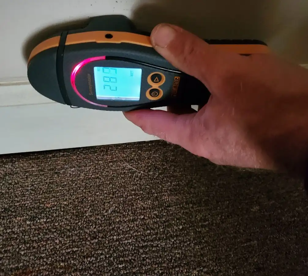 Moisture detection at baseboard during Sewage Cleanup & Sanitation in Hopewell
